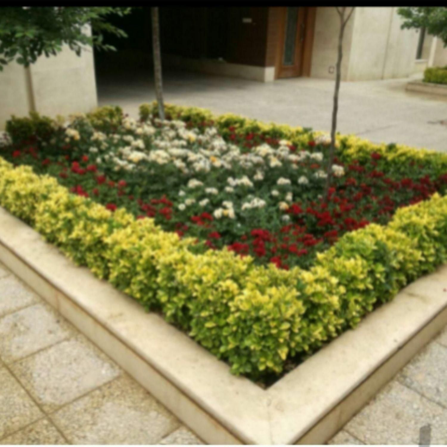 باغبانی سمپاشی گلها سم پاشی درخت باغچه درسراسرمشهد|خدمات باغبانی و درختکاری|مشهد, وکیل‌آباد|دیوار