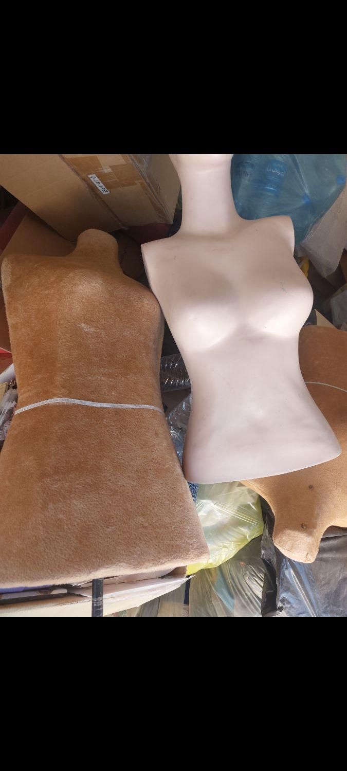 صندوق فروشگاهی/مانکن /نیم تنه پلاستیکی|فروشگاه و مغازه|شیراز, زرهی|دیوار