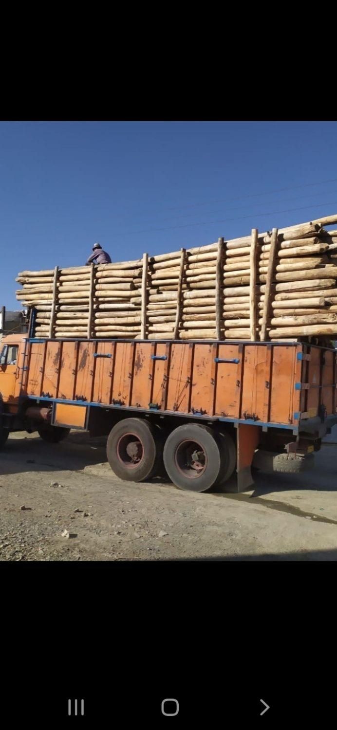 خریدو فروش انواع چوب آلات باغی جنگلی در استان|خدمات باغبانی و درختکاری|اردبیل, |دیوار