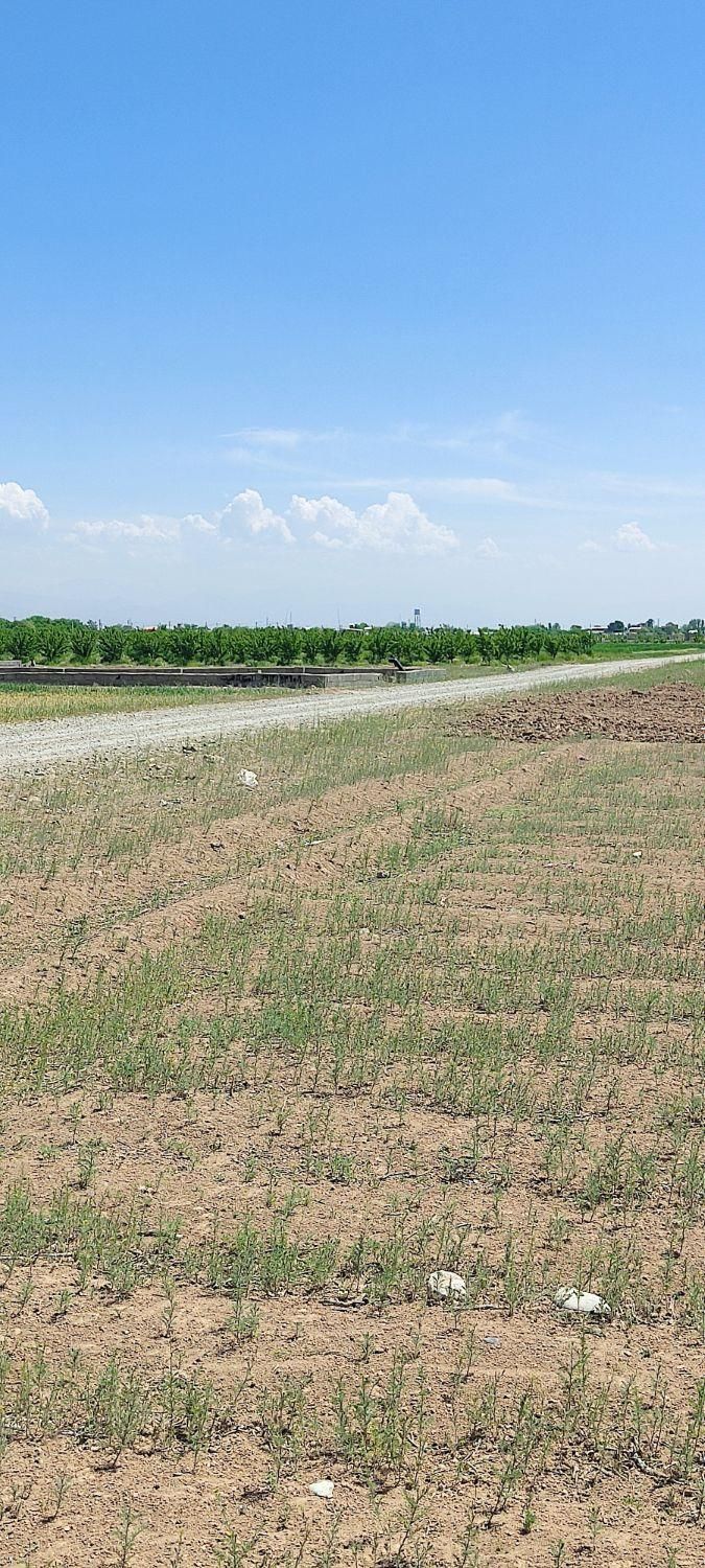 فروش زمین ۳۰۰متری کردان سهیلیه زعفرانیه|فروش زمین و ملک کلنگی|چهارباغ, |دیوار