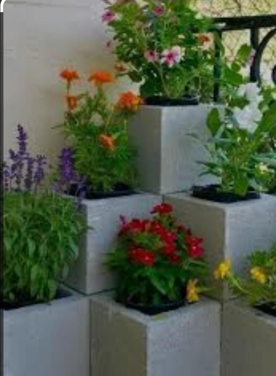 هرس و علف زنی وکلیه خدمات باغبانی|خدمات باغبانی و درختکاری|بندر انزلی, دهکده ساحلی|دیوار