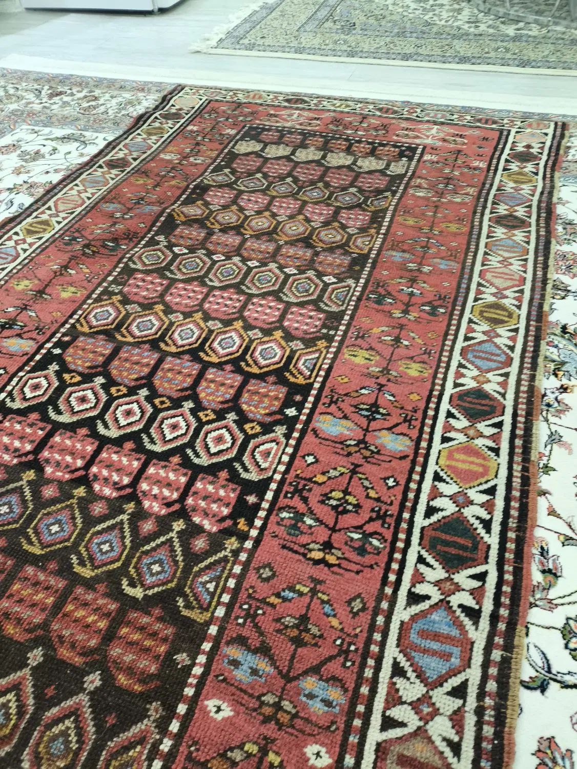 فرش قدیمی گیاهی|فرش|تهران, آرژانتین|دیوار