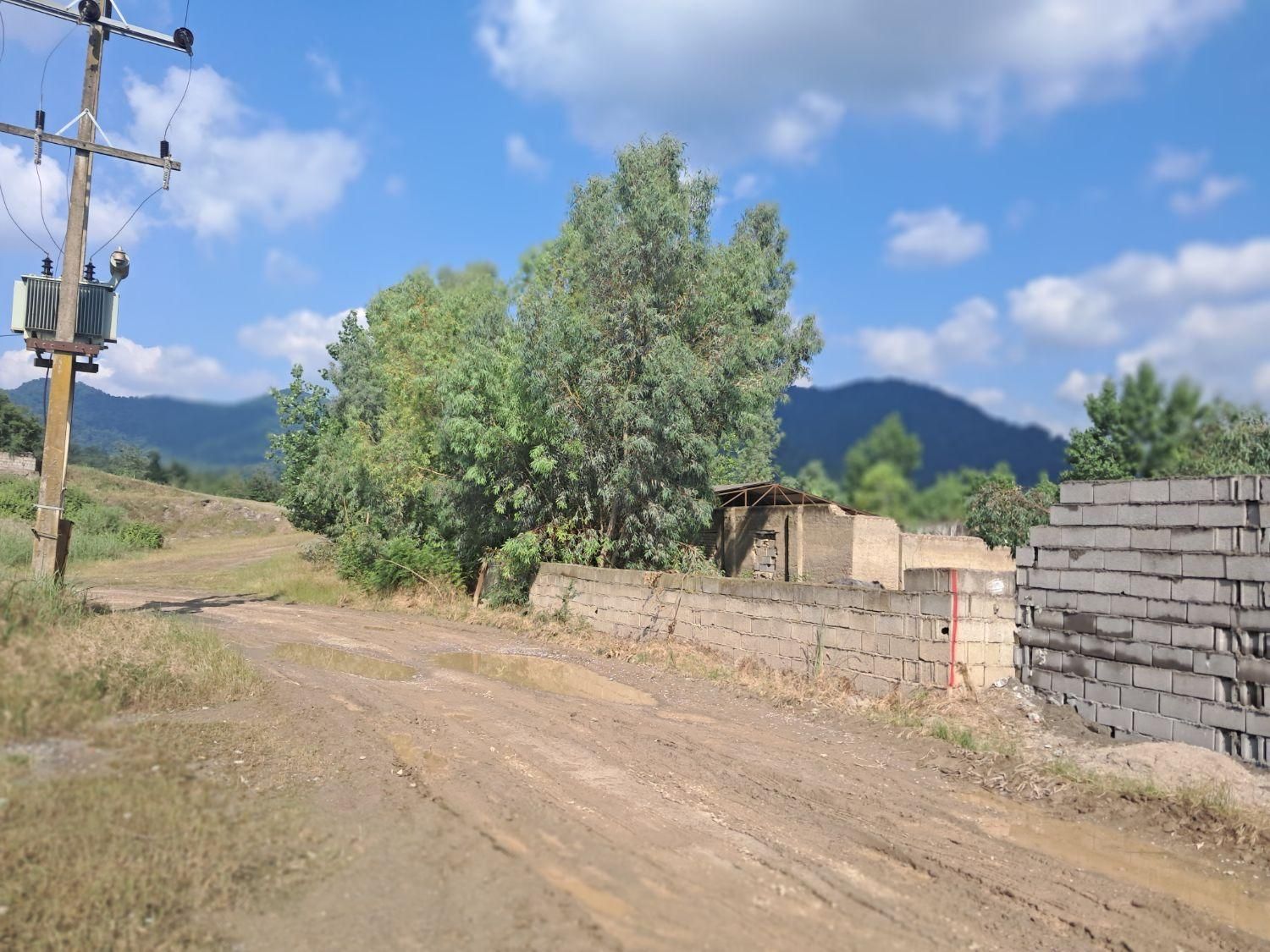 زمین فروشی گرگان روستای توریستی جنگلی جعفراباد|فروش زمین و ملک کلنگی|قرق, |دیوار