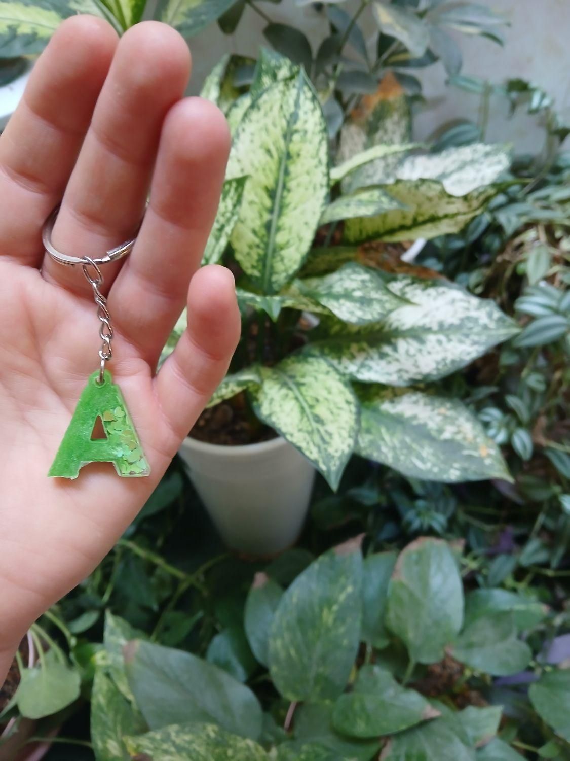 دسته کلید های رزینی|بدلیجات|شیراز, میانرود|دیوار