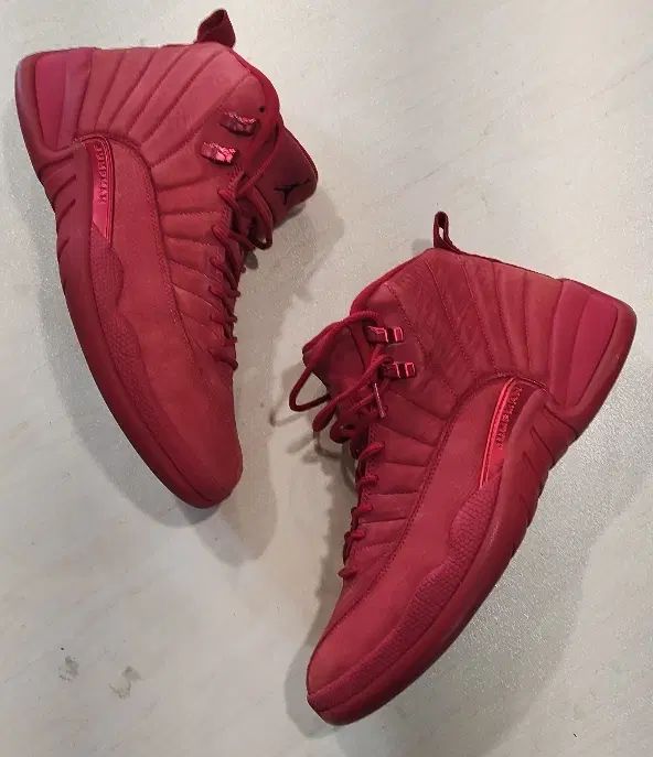 jordan 12|کیف، کفش، کمربند|تهران, دزاشیب|دیوار