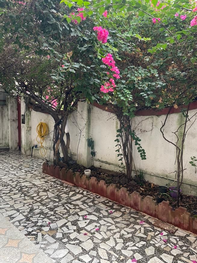 اجاره روزانه/هفتگی/ماهانه آپارتمان ۱۲۰ متری|اجارهٔ کوتاه‌مدت آپارتمان و سوئیت|رضوانشهر, |دیوار