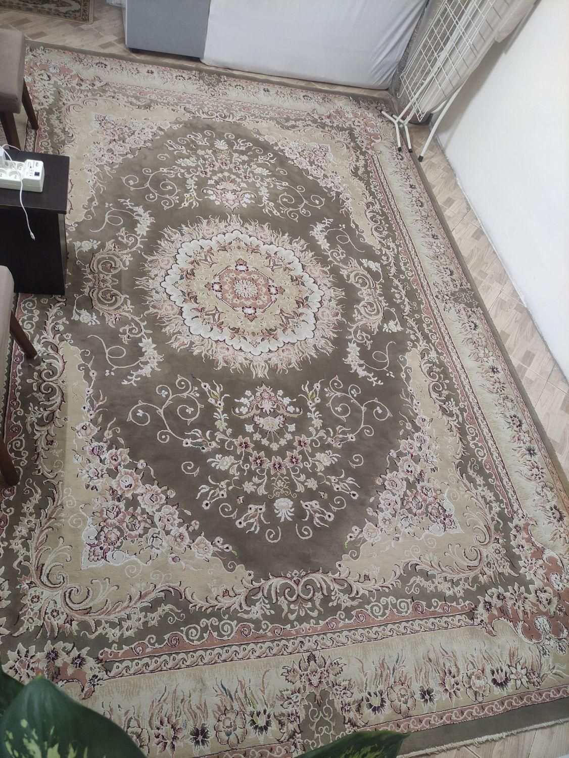 دوعدفرش 9متری گل برجسته نگین مشهد|فرش|پاکدشت, پاکدشت (مامازند)|دیوار