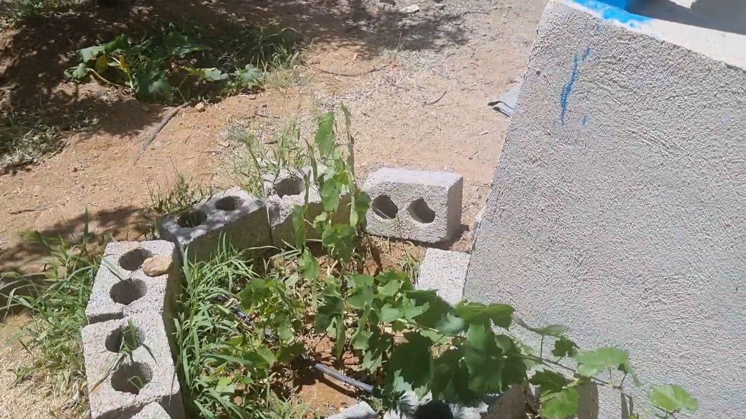 باغ دنج|فروش زمین و ملک کلنگی|اصفهان, نقش جهان|دیوار