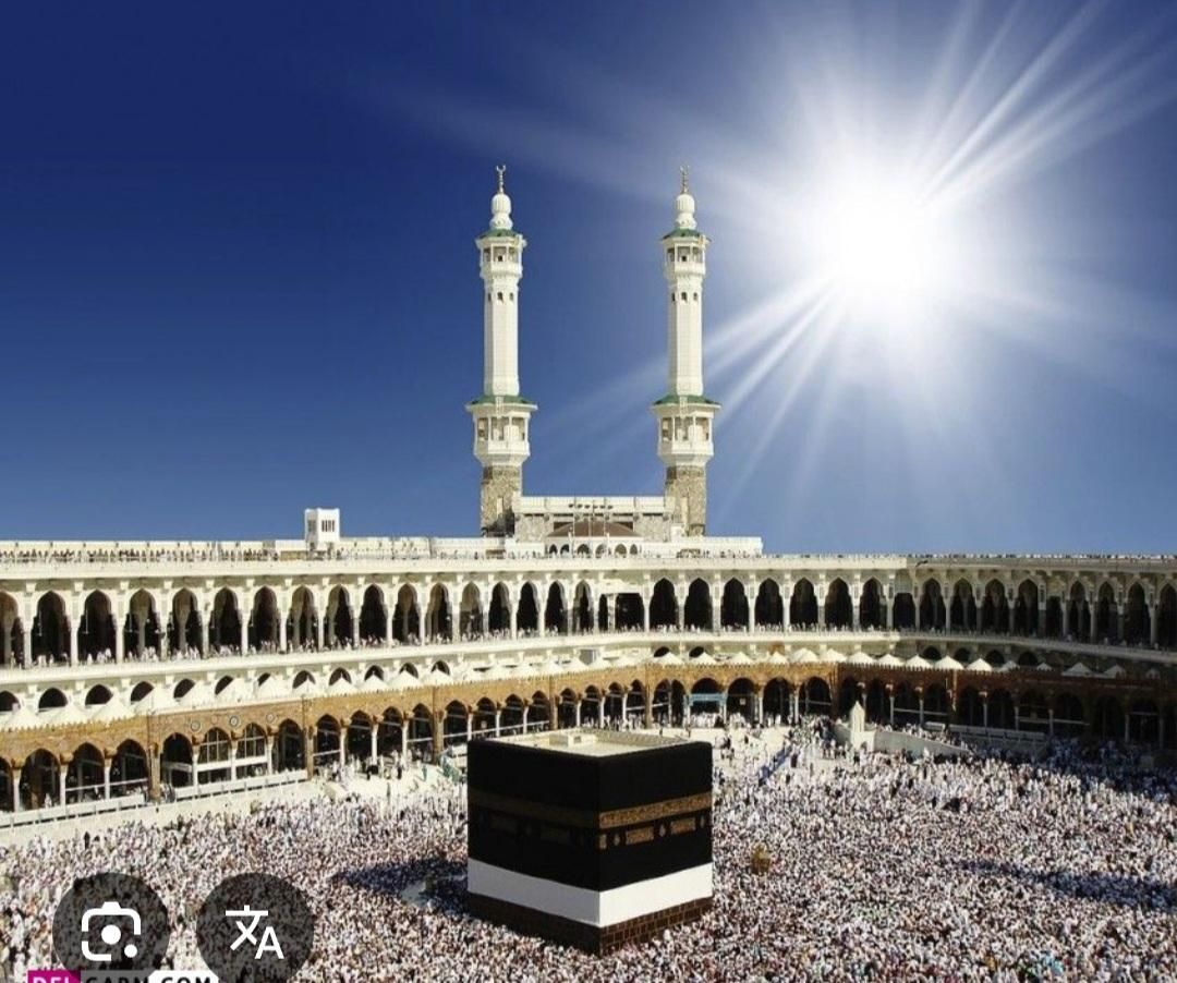 فروش فیش حج عمره نوبت ۳۱۳،ثبت نام سال ۹۰،بانک ملی|تور و چارتر|شیراز, اصلاح‌نژاد|دیوار