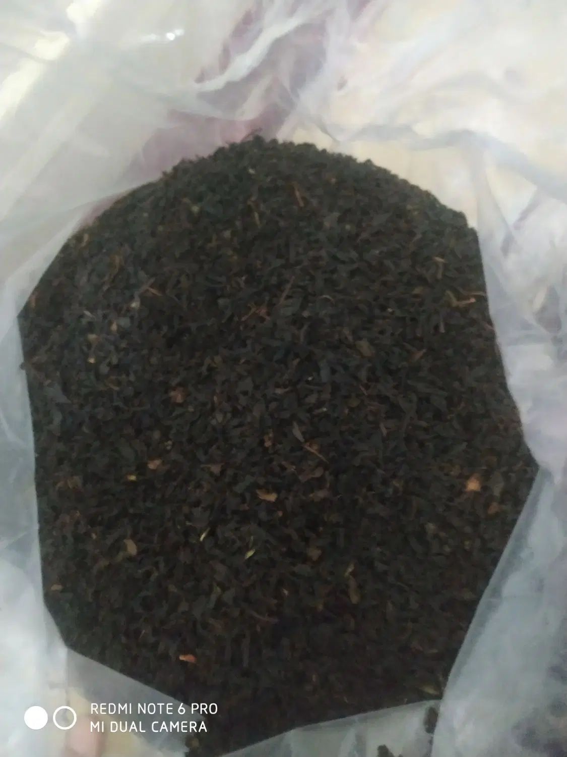 چای بهاره املش خوش عطرچین اول فقط 5 کیلوق 370|خوردنی و آشامیدنی|رشت, حمیدیان|دیوار
