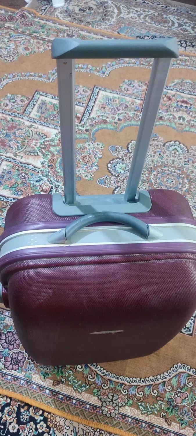 مرغ عشق،چمدان مسافرتی،شیشه بالابر پژو کامل|پرنده|زابل, |دیوار
