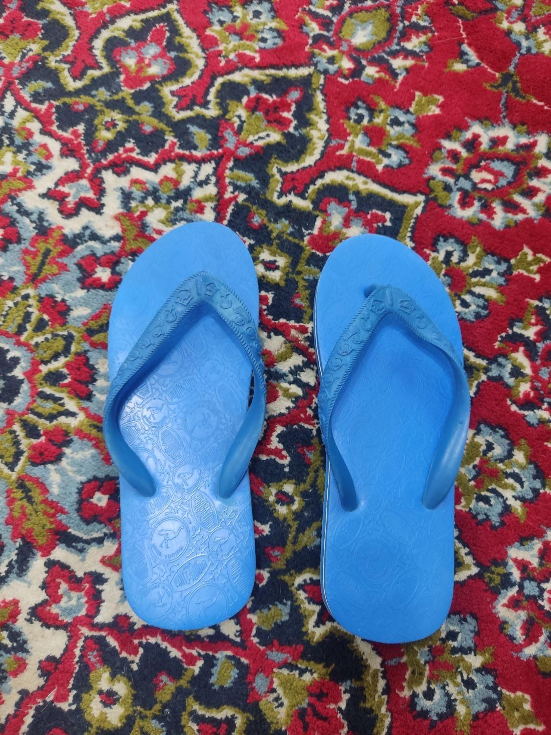 دمپایی انگشتی|کیف، کفش، کمربند|رشت, پارک شهر|دیوار