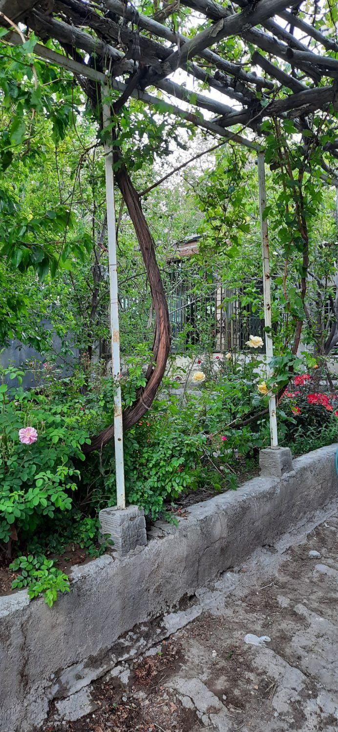 اجاره خانه ویلایی در دهبکری بصورت روزانه|اجارهٔ کوتاه‌مدت ویلا و باغ|بم, |دیوار