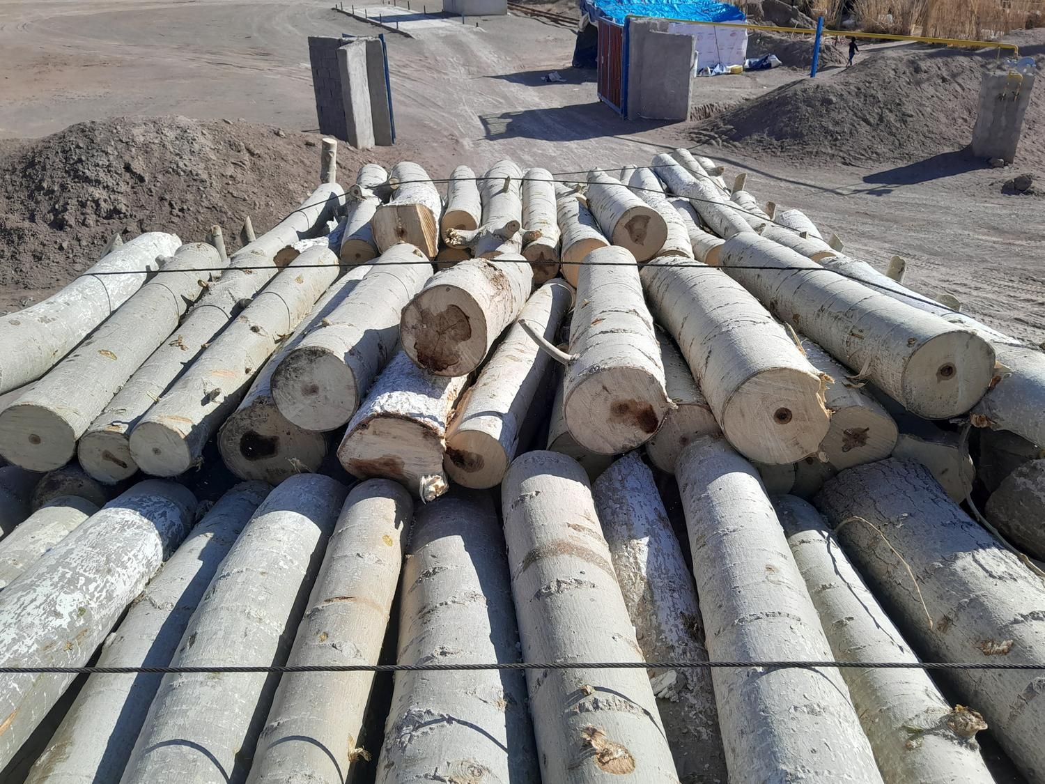 خریدار چوب شما|خدمات باغبانی و درختکاری|کرمان, |دیوار