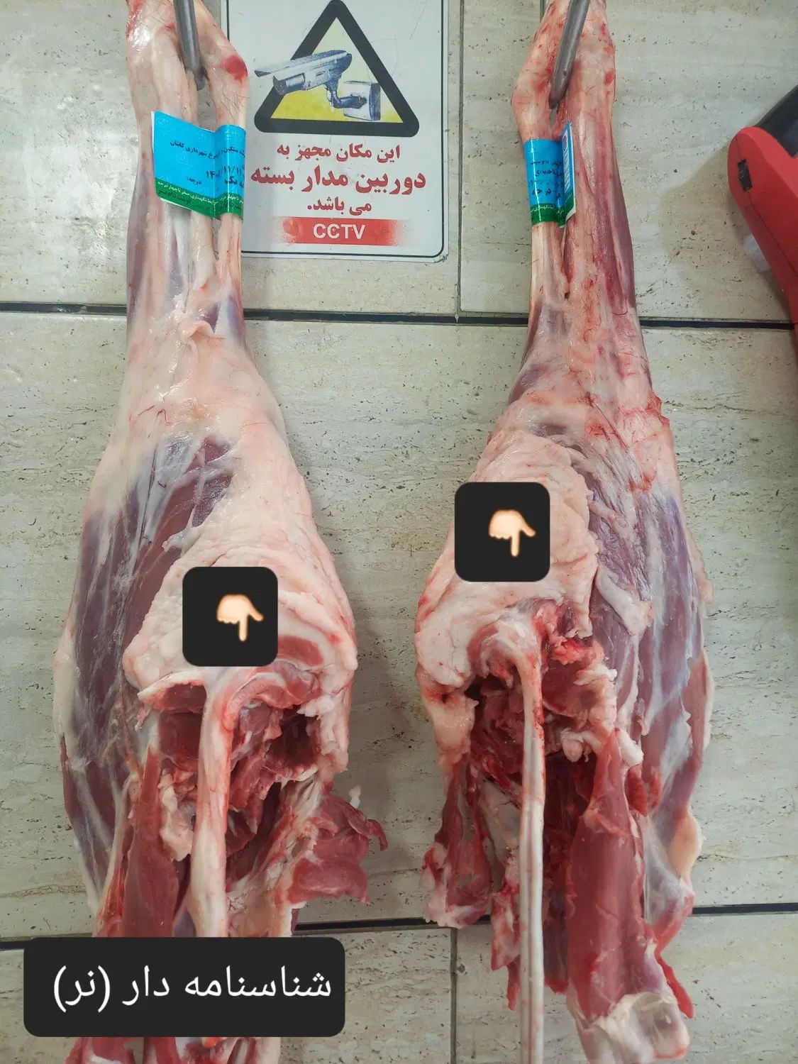 گوشت بره نر و گوساله نر کشتار روز ((فروش چکی))|خوردنی و آشامیدنی|کاشان, باغ ماجد|دیوار