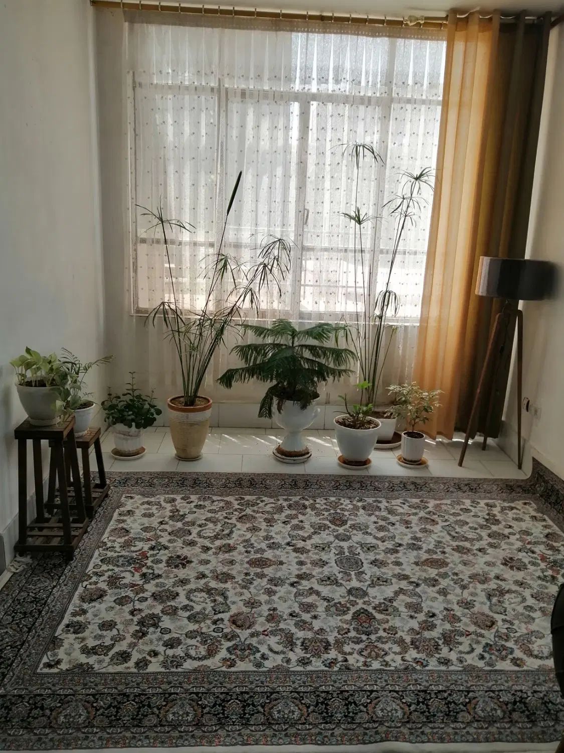 منزل‌ دربستی برای زوارباتمام امکانات رفاهی|اجارهٔ کوتاه‌مدت آپارتمان و سوئیت|مشهد, تلگرد|دیوار