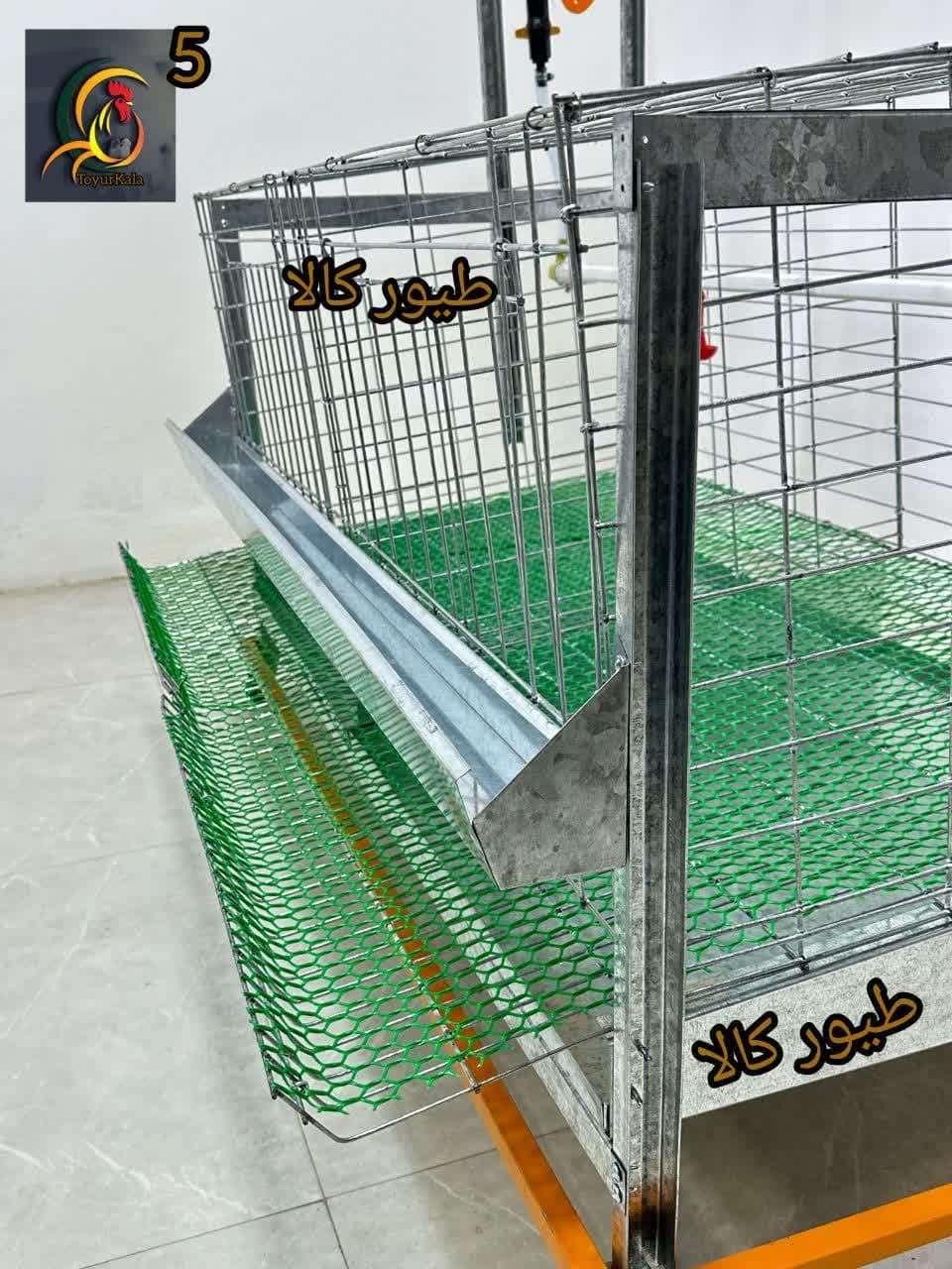 تولید و ارسال انواع قفس مرغ و قفس بلدرچین|حیوانات مزرعه|یزد, |دیوار