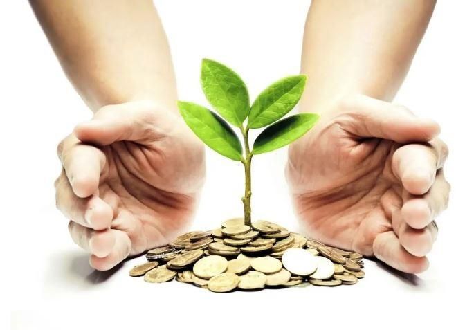 جذب سرمایه گذار برای واحد تولیدی|استخدام صنعتی، فنی، مهندسی|اردبیل, |دیوار