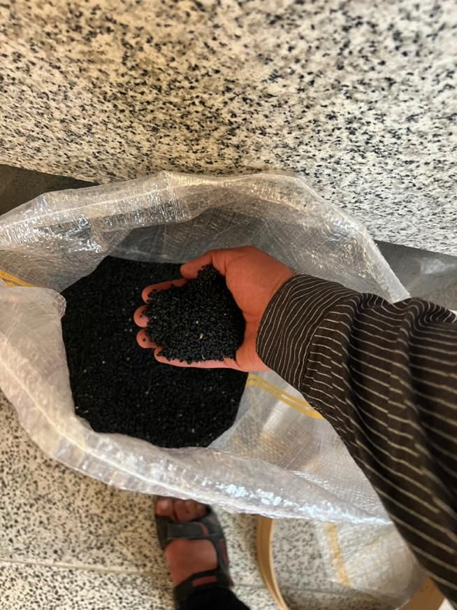فروش بذر دستگیری مینروا از قوطی ارژانتین باکیفیت|خدمات باغبانی و درختکاری|جیرفت, |دیوار