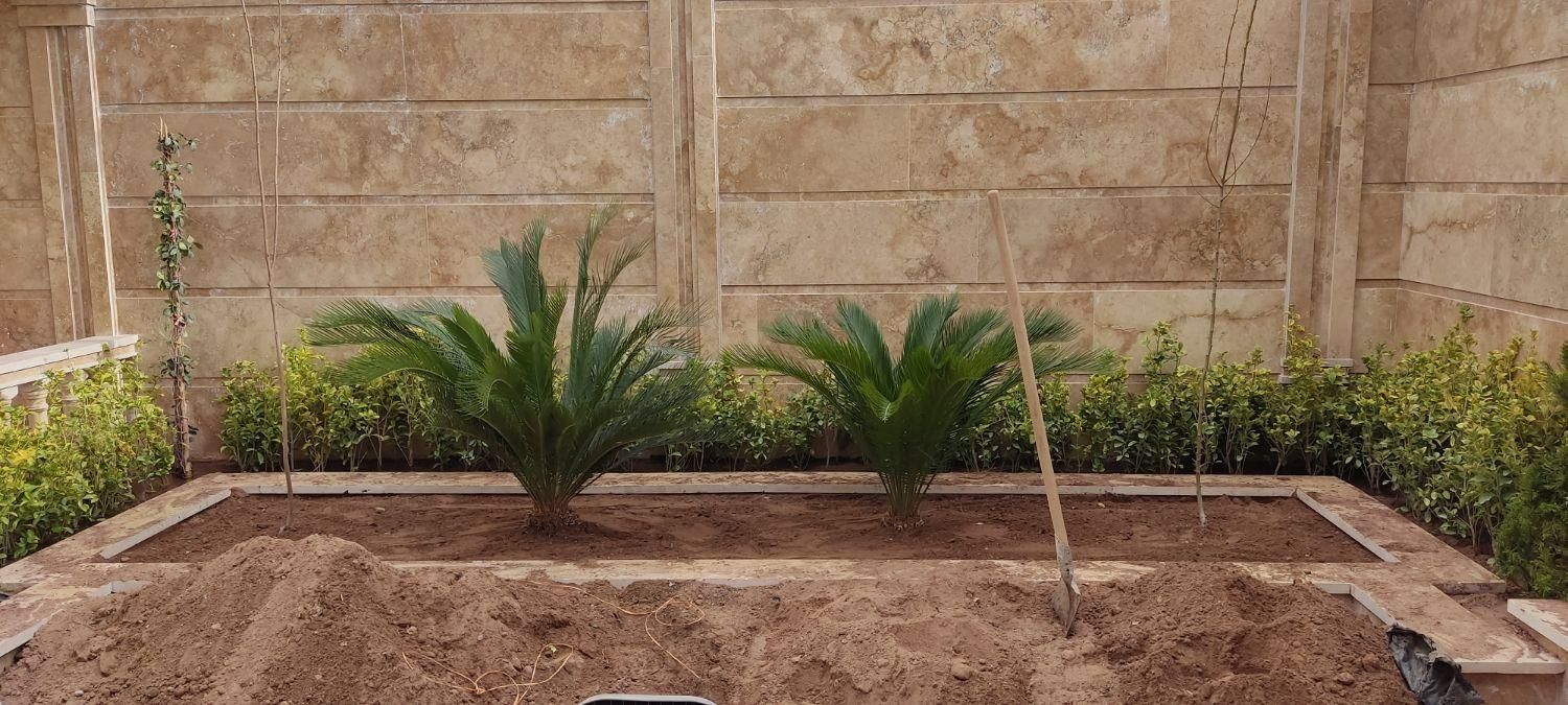 باغبانی -هرس و کار با اره برقی|خدمات باغبانی و درختکاری|کرمان, |دیوار