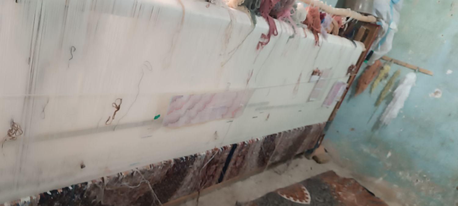 یک فرش دو در سه  جفت قالیچه به فروش می‌رسد|فرش|خوی, |دیوار