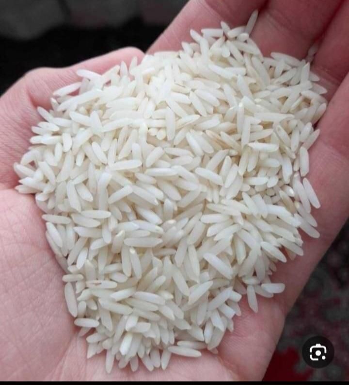 برنج هاشمی  معطرهم کالا برگ وهم آزاد برادران رنجبر|خوردنی و آشامیدنی|کرج, حیدرآباد|دیوار