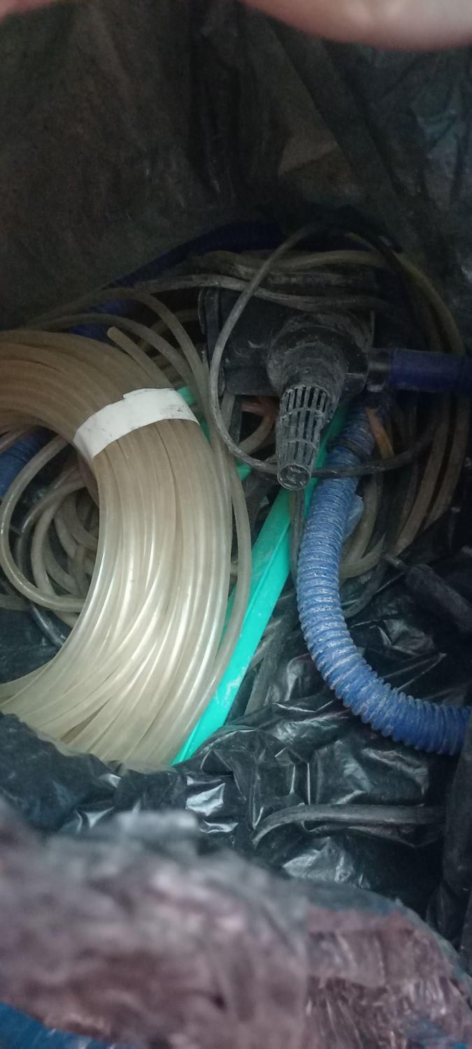 وسایل اکواریوم|ماهی|تبریز, |دیوار