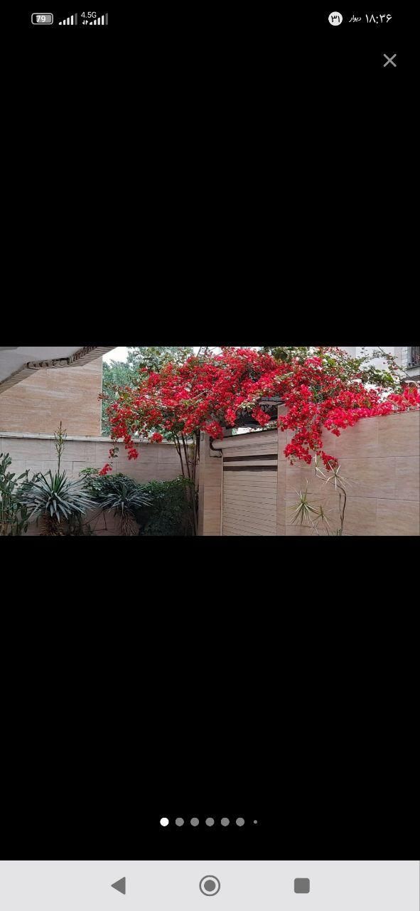 اجاره آپارتمان ۷۵ متری ۲ خوابه طبقه ۲ در رودباری|اجارهٔ آپارتمان|رشت, رودباری|دیوار