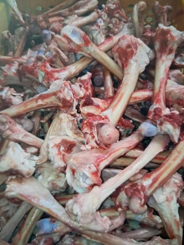 قلم گوسفندی|خوردنی و آشامیدنی|تهران, بهمن یار|دیوار