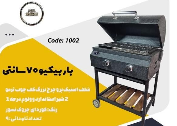 انواع باربیکیو، کباب پز،تک شعله ،سه شعله و|اجاق گاز و لوازم برقی پخت‌وپز|پاکدشت, خاتون آباد|دیوار