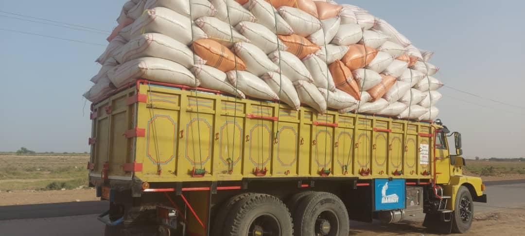 * کاه نیشکر خوراک دام ،کاه گندم دیم|لوازم جانبی حیوانات|میمه, |دیوار