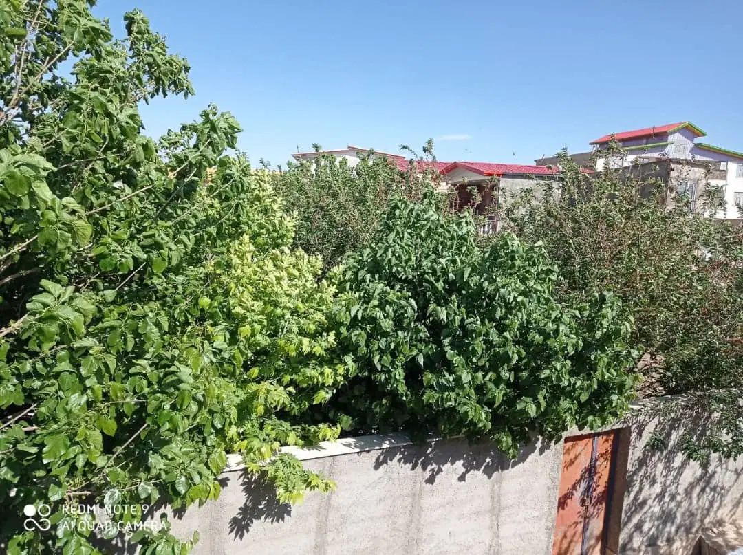 فروش واحد 100متری با پارکینگ انباری آسانسور|فروش آپارتمان|کرج, کارخانه قند|دیوار