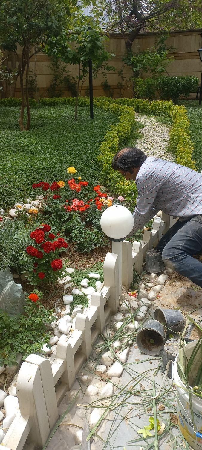 خدمات تخصصی باغبانی و فضای سبز|خدمات باغبانی و درختکاری|تهران, دروس|دیوار