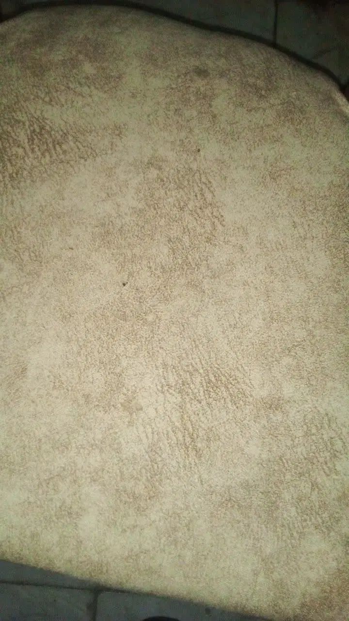صندلی، جا لباسی،  کتابخانه، کشو پاتختی|کتابخانه، شلف، قفسه‌های دیواری|مشهد, امیریه|دیوار