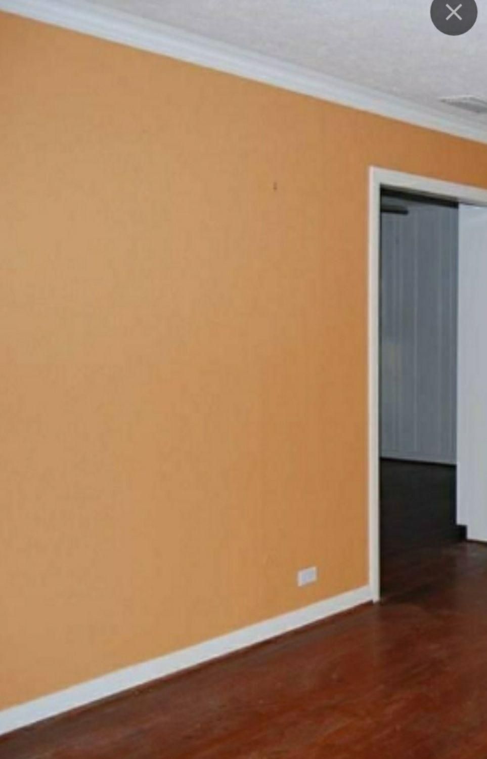 خدمات رنگ آمیزی ولکه گیری گچ کاری رفع شوره وترک ها|خدمات پیشه و مهارت|اهواز, زیتون کارمندی|دیوار