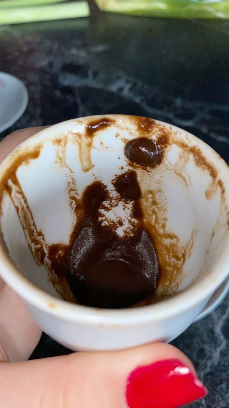 انواع فال دقیق و موکلدار|فعالیت داوطلبانه|شیراز, شاهچراغ|دیوار