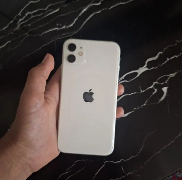 iPhone 11normal 128|موبایل|مشهد, عبادی|دیوار