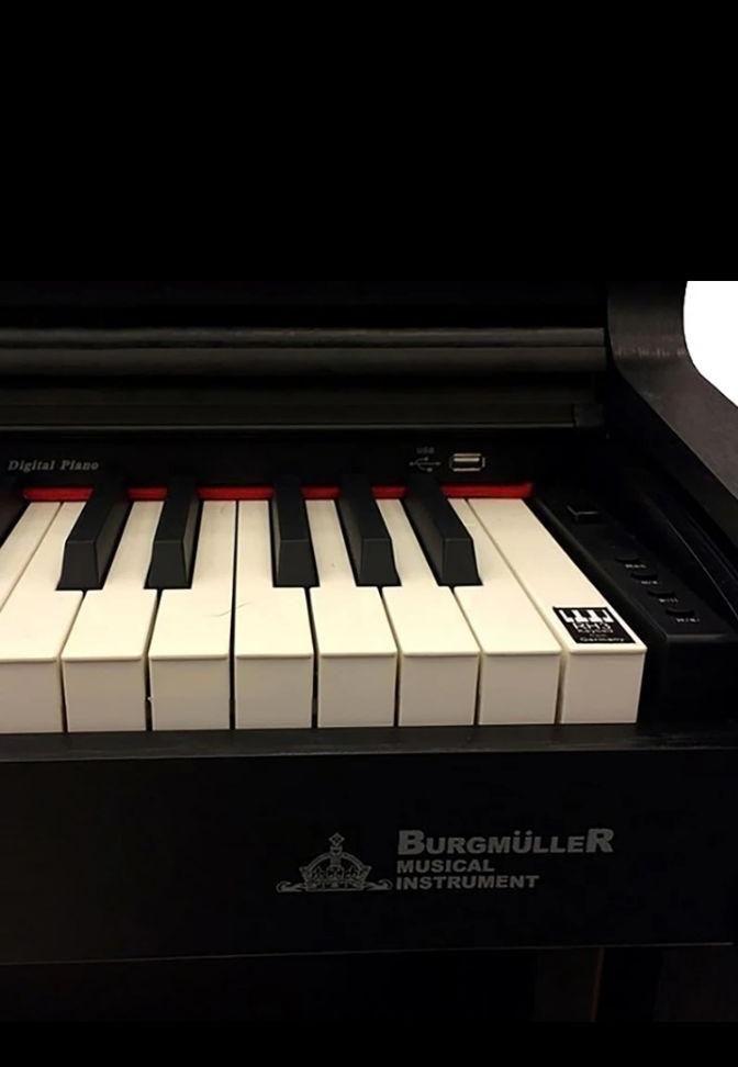 پیانو برگمولرBM-280 نوپلمپ|پیانو، کیبورد، آکاردئون|نورآباد ممسنی, |دیوار