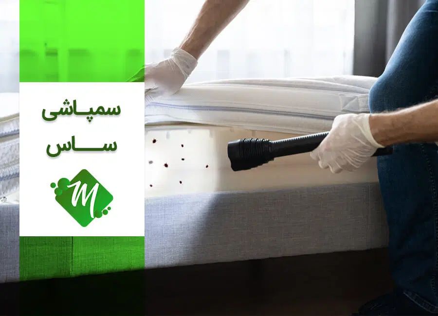 سمپاشی حشرات موذی فقط دریک مرحله باضمانت|خدمات نظافت|کرج, اتحاد|دیوار