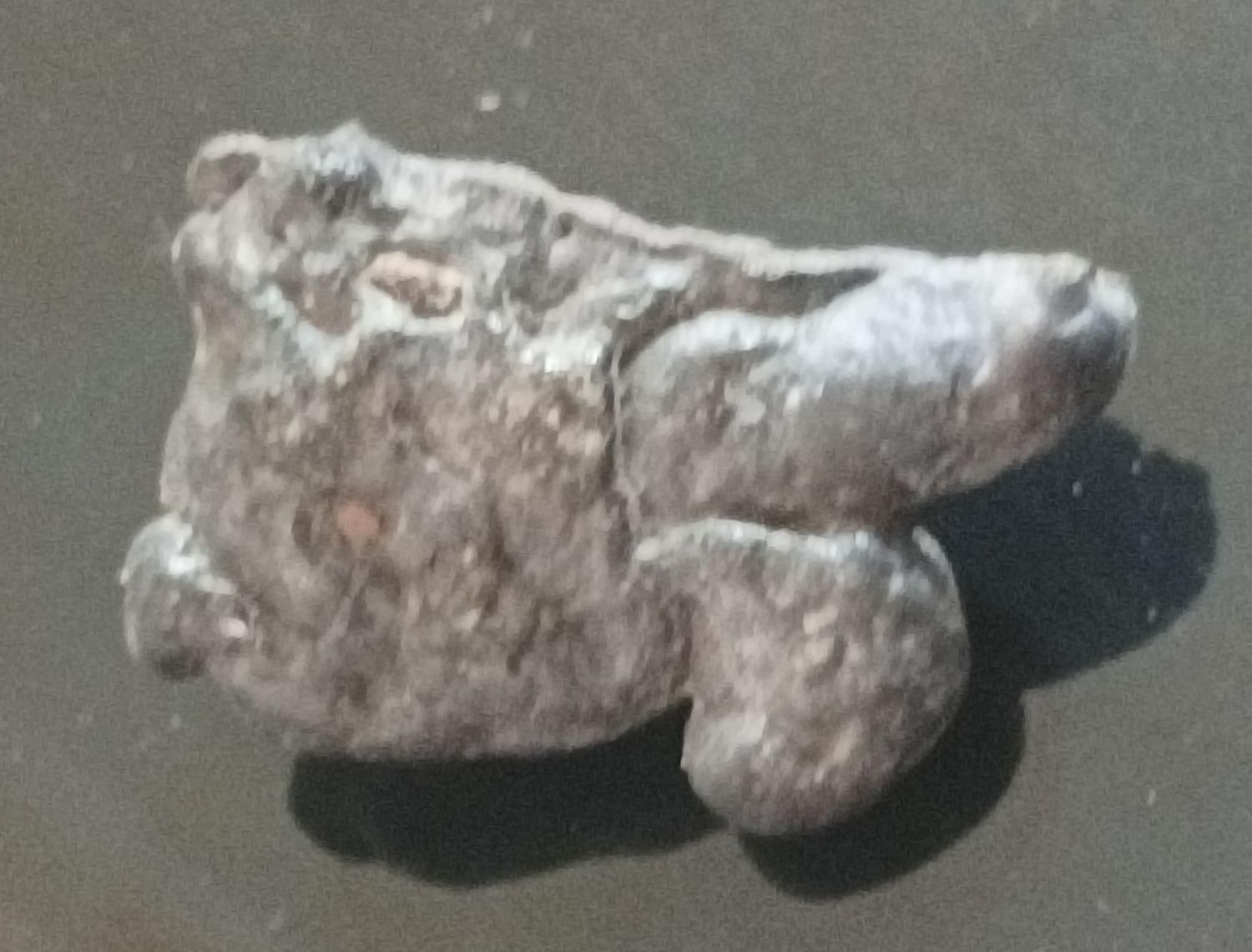 فروش سنگ مغناطیسی|کلکسیون اشیاء عتیقه|کرمان, |دیوار