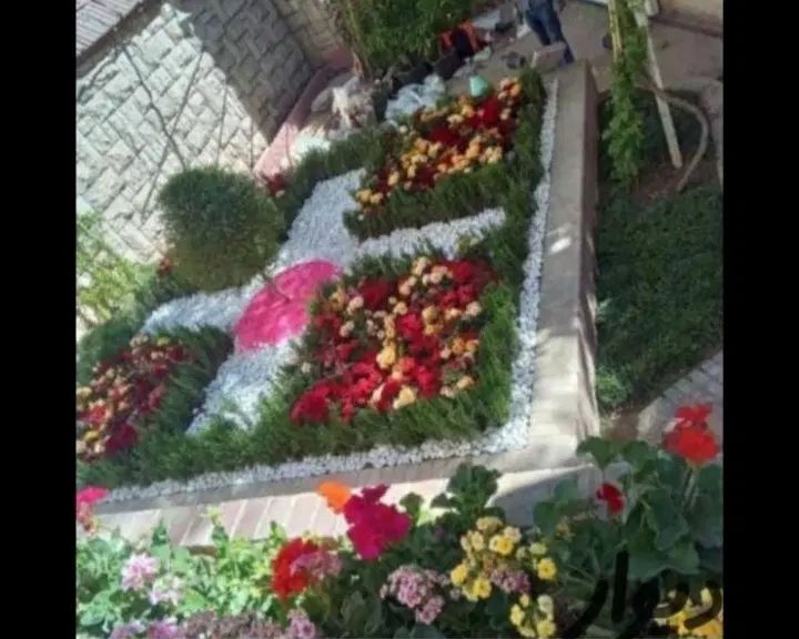 خدمات باغبانی تعویض خاک گلدان در منزل و غیره|خدمات باغبانی و درختکاری|تهران, صادقیه|دیوار