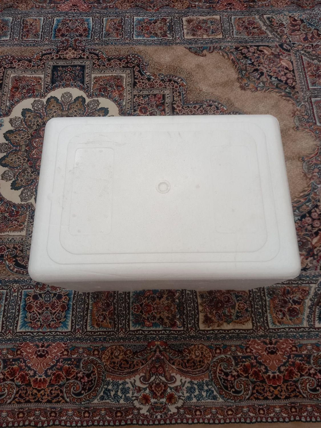 کلمن برای کار و مسافرت|ظروف نگهدارنده، پلاستیکی، یک‌بارمصرف|کرج, بنیاد|دیوار