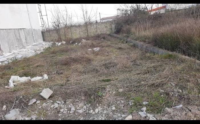 فروش زمین ۲۰۰ متری راسته هتل وستا|فروش زمین و ملک کلنگی|نشتارود, |دیوار