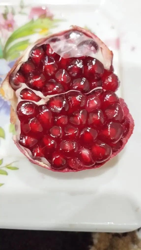 نهال انار درجه یک سیاب|خدمات باغبانی و درختکاری|طرهان, |دیوار