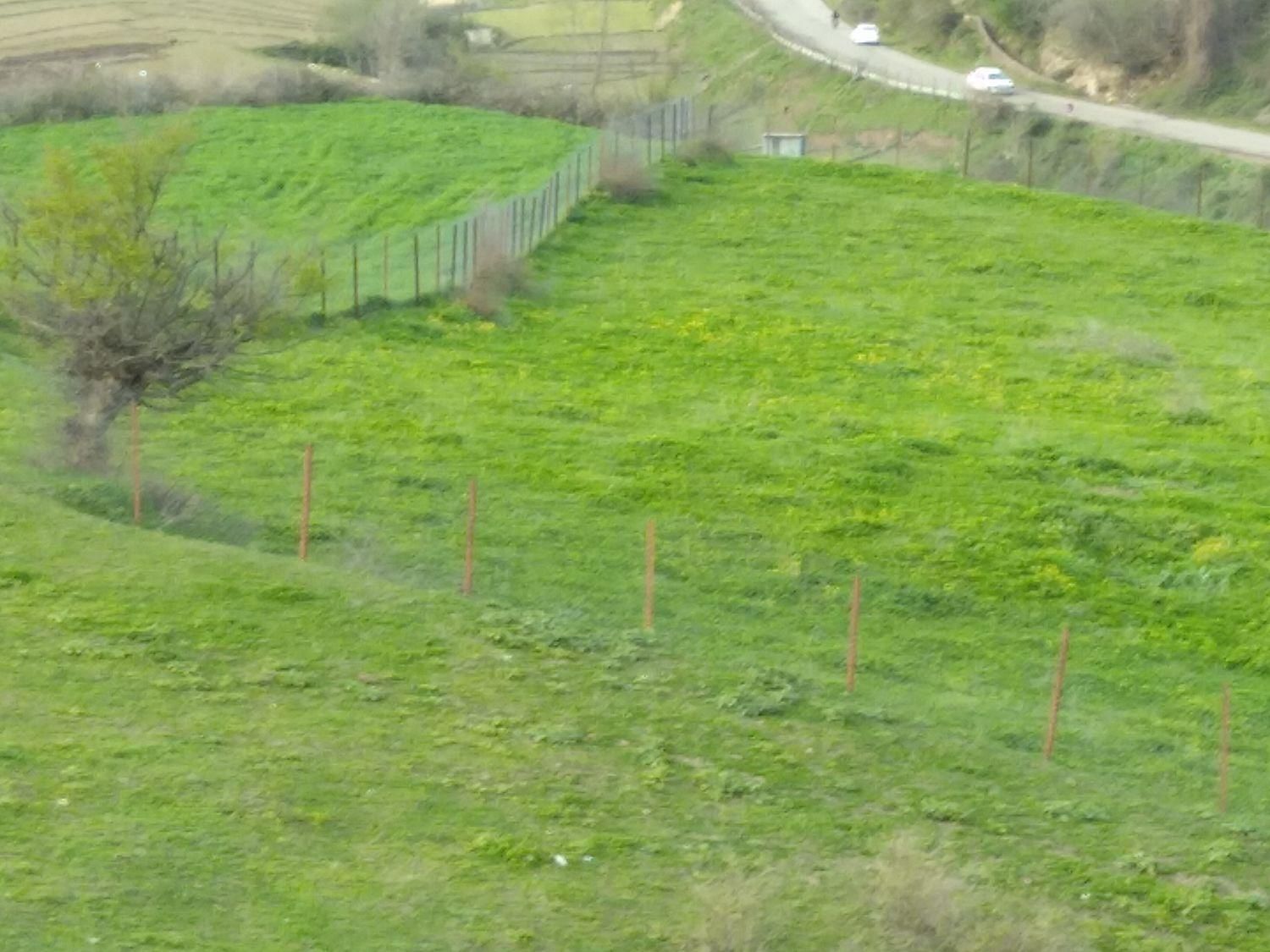 فروش زمین ۳۴۷۴ متری|فروش زمین و ملک کلنگی|توتکابن, |دیوار