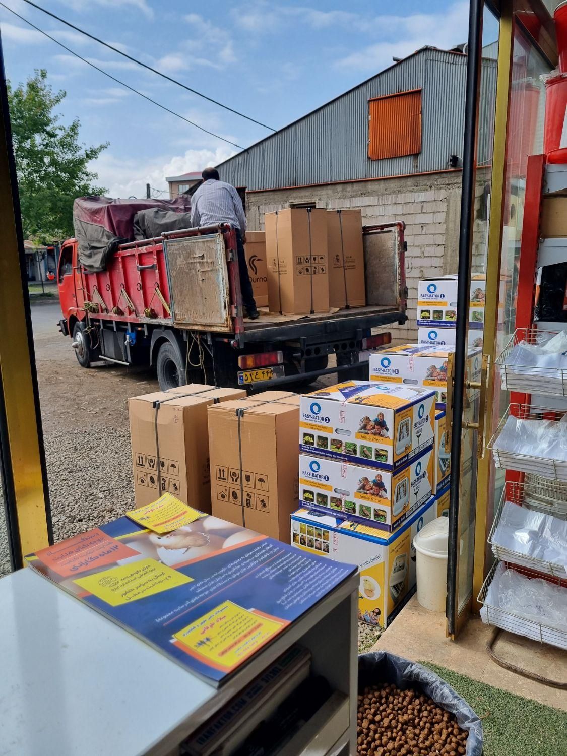 نمایندگی دستگاه جوجه کشی اسکندری در گیلان|لوازم جانبی حیوانات|رشت, لاکان|دیوار