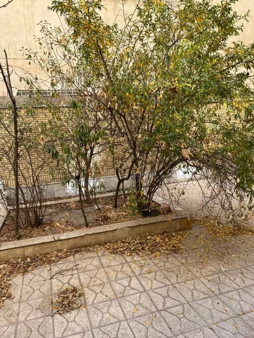 ویلایی ۲۵۰متری،جلال،مسکن الهی،رشیدی|فروش خانه و ویلا|مشهد, آزادشهر|دیوار