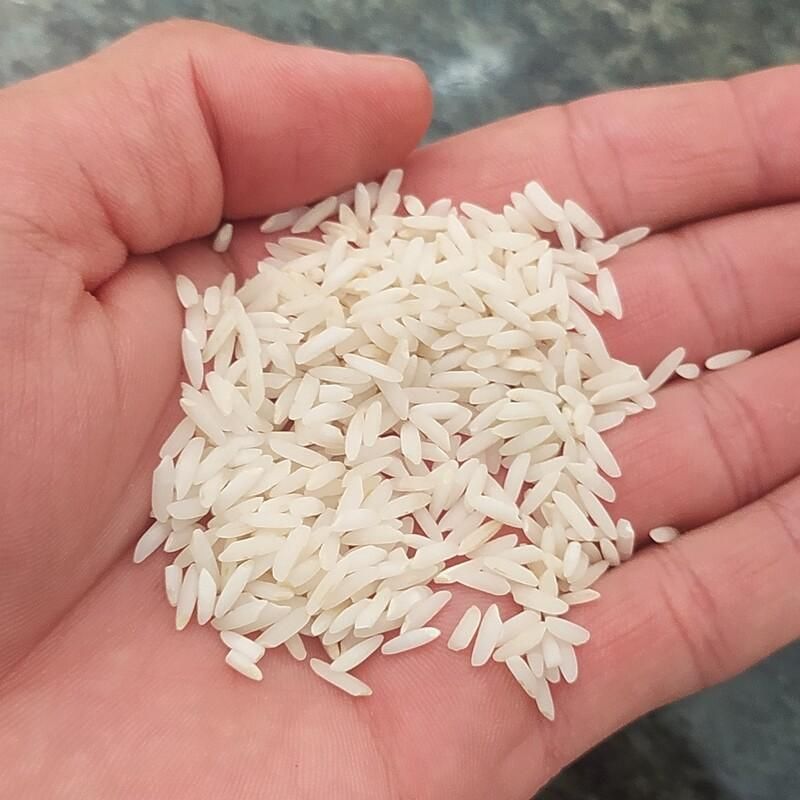 برنج معطر درجه یک دورود|خوردنی و آشامیدنی|دورود, |دیوار