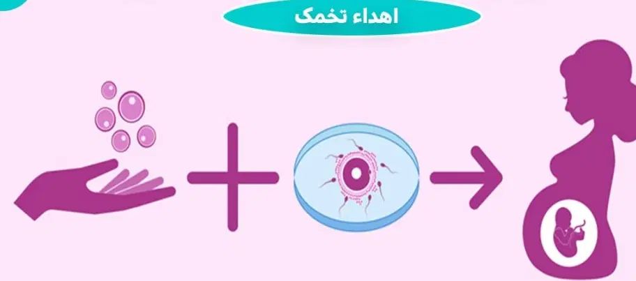 اهدا کننده تخمک هستم متولد ۷۸|فعالیت داوطلبانه|تهران, اکباتان|دیوار