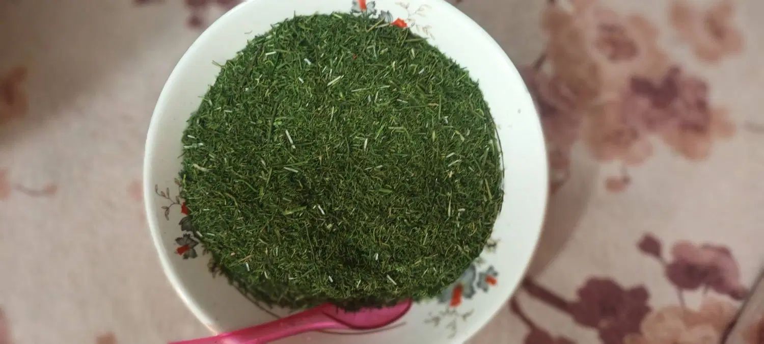 نعناع و شوید خشک و سبزی قرمه سرخ شده آماده|خوردنی و آشامیدنی|قرچک, شهرک الحدید|دیوار